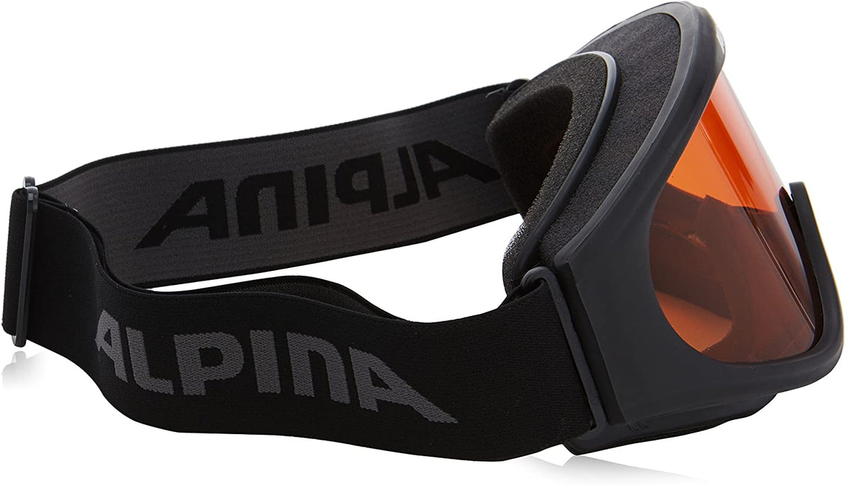 ALPINA Driber SH Ski Snowboard Winter Sports UV Protection Antifog