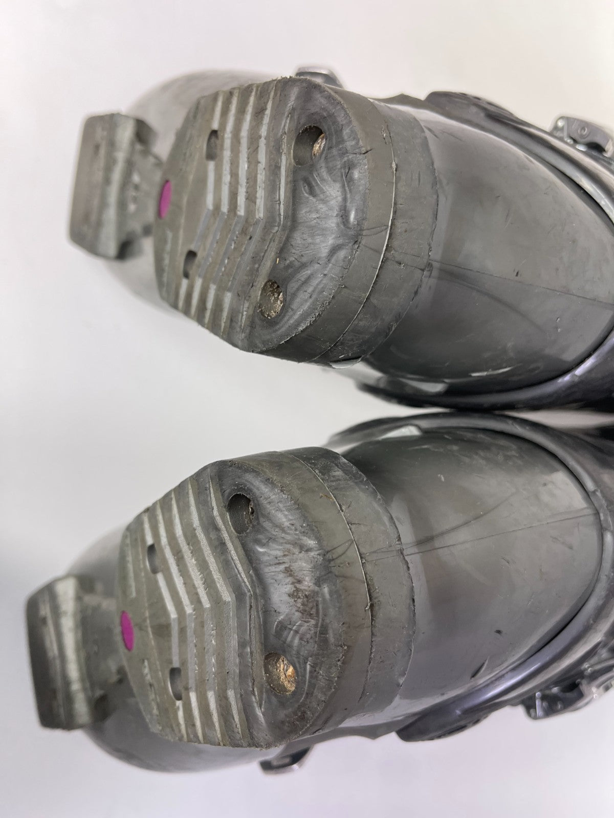 Dalbello RTL Vantage 4F Ski Boots (EU 43 1/2; UK 9 1/4; Mondo 280) Winter Sports