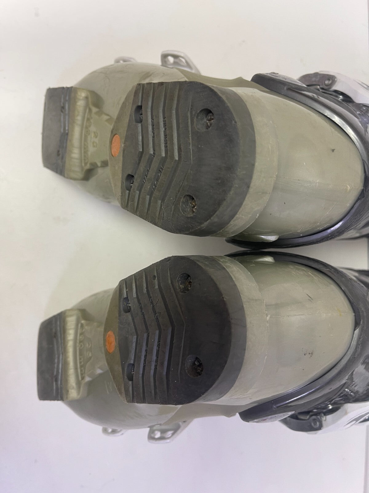 Chaussures de ski Dalbello RTL Vantage 4F 2016 (UE 39 2/3 ; Royaume-Uni 6 1/4 ; Mondo 255) Hiver