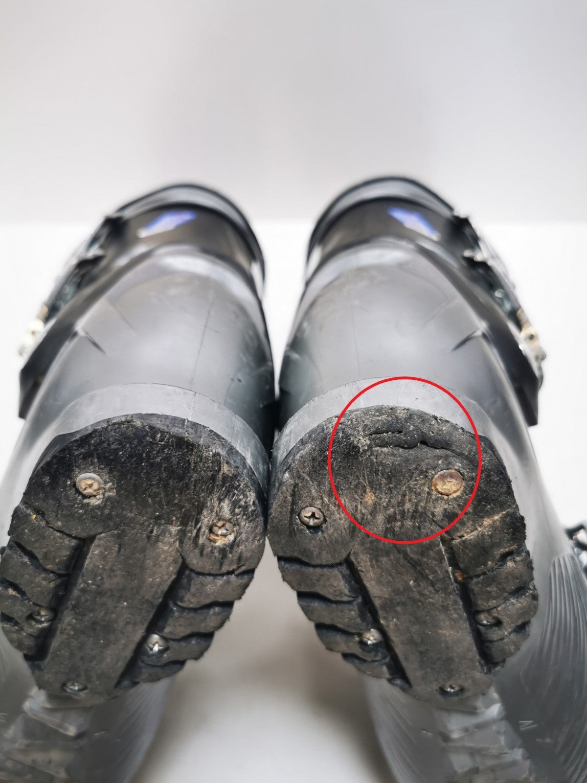 Chaussures de ski Dalbello RTL FXR 4F (EU 45 2/3; UK 11; Mondo 295) Sports d’hiver sur neige