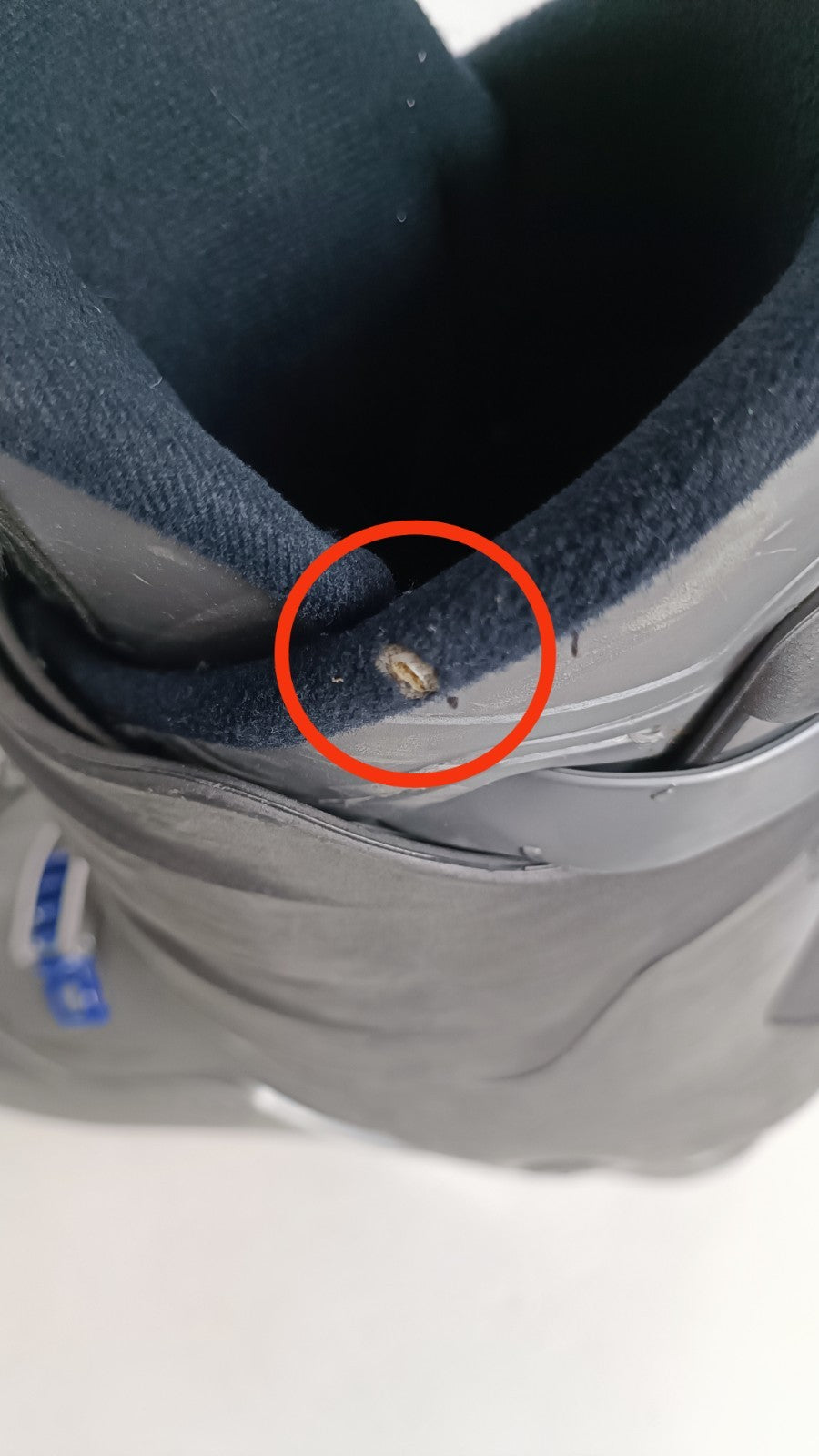 Chaussures de ski Dalbello Vantage 2017 (EU 45 2/3; UK 11; Mondo 295), sports de neige d’hiver