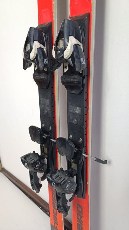 Blizzard Firebird GS FIS 156cm Ski + Salomon 10 Bindungen Winter Fun Snow Sport