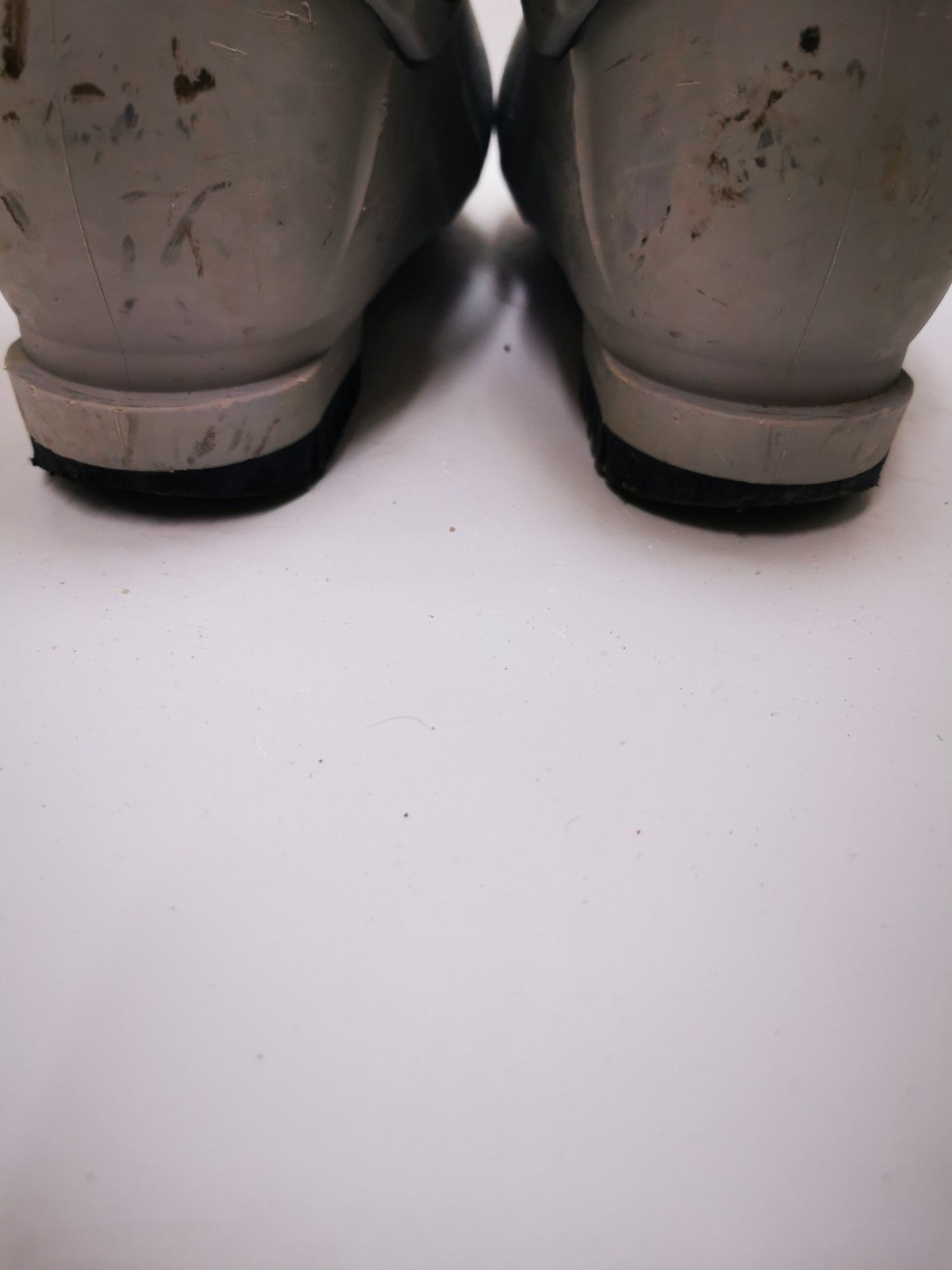 Chaussures de ski Alpina DSS RTL (EU 45 2/3; UK 11; Mondo 295) Sport d’hiver sur neige en plein air