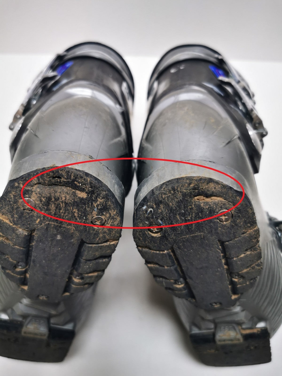 Chaussures de ski Dalbello RTL -FXR Pure MS (EU 38 1/3 ; UK 5 ; Mondo 245) Amusement hivernal