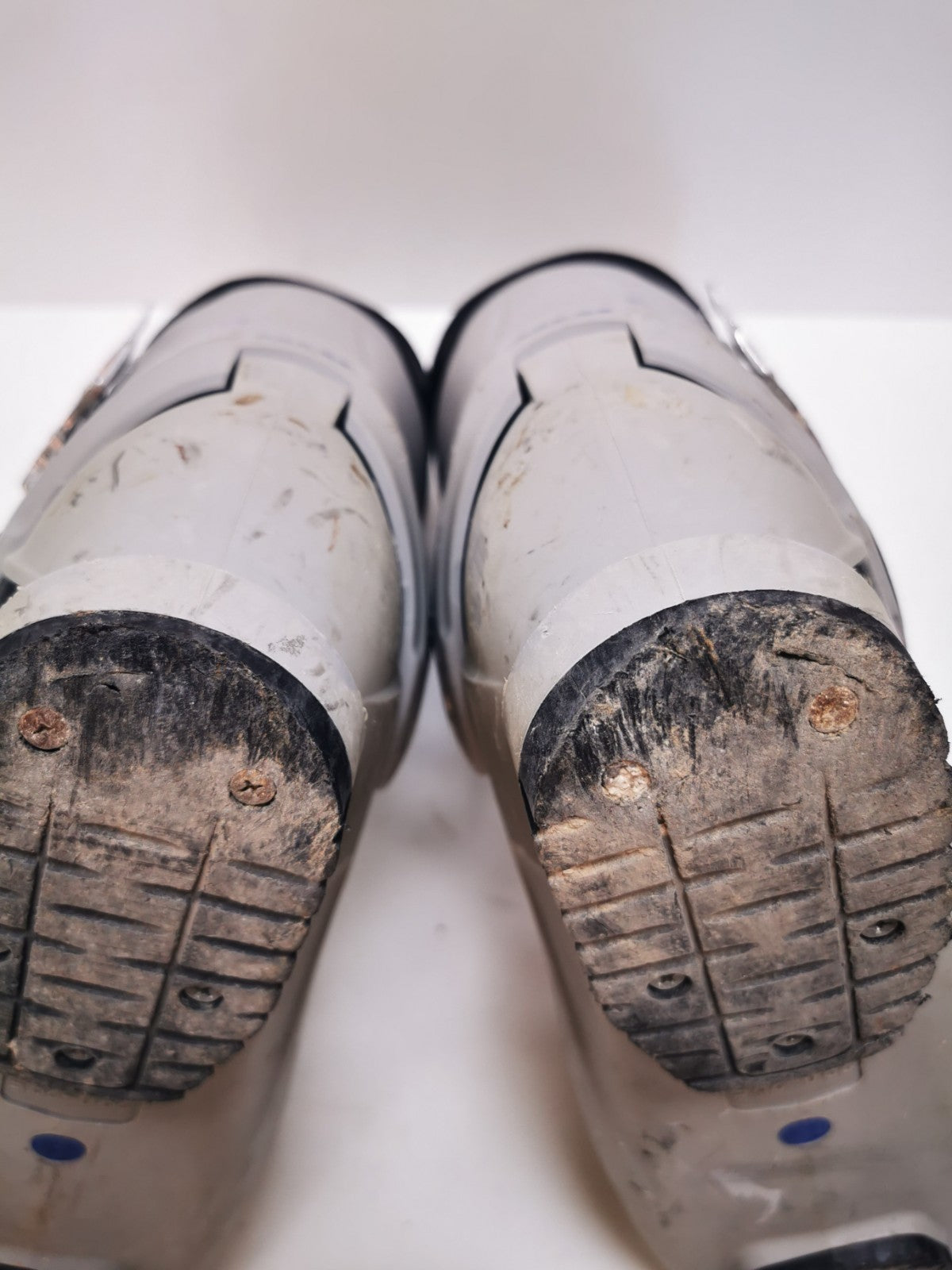 Chaussures de ski Alpina DSS RTL (EU 45 2/3; UK 11; Mondo 295) Sport d’hiver sur neige en plein air